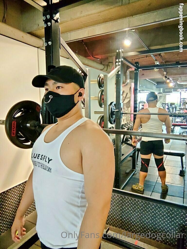 largedogcollar Onlyfans Nude Leaked Photos photo leak 23 of 25 largedogcollar Onlyfans Nude Leaked Photos photo leak 23 of 25