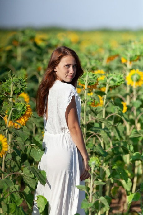 Slim girl removes a white dress for nude poses in a field of sunflowers