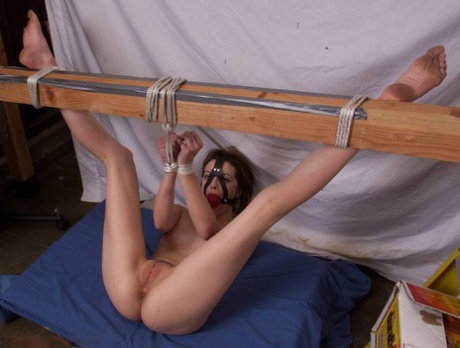Submissive Molly Matthews gets whipped & spanked while tied up and ball-gagged