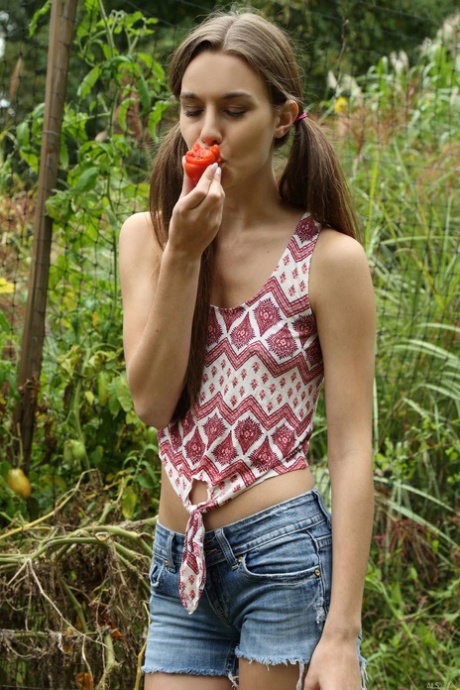 Sexy babe Tali Dova toys her shaved pussy with a veggie outdoors