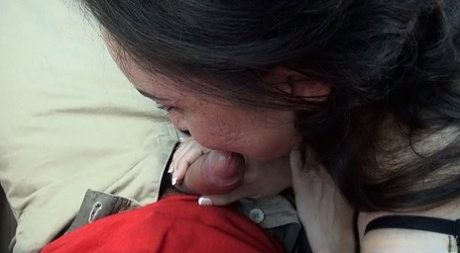 Brunette chick Michelle Heart sucks on a cock from a POV perspective