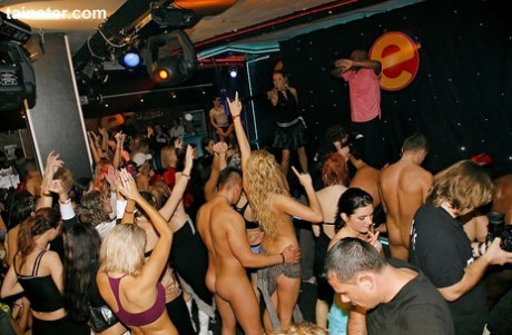Group party turns into orgy when the sluts begin sucking cock