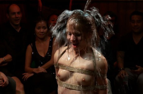 Public Disgrace performed by Mark Davis, Princess Donna Dolore Naked Pictures