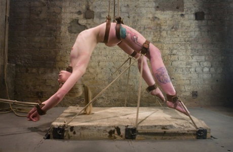 Submissive blonde Claire Adams gets bound and toyed by domme Sarah Jane Ceylon