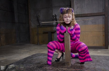 Cute girl Harley Acefinds herself suspended by ropes while in a dungeon