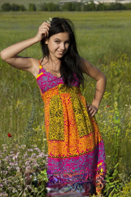 Beautiful brunette girl strips naked in a field of wildflowers