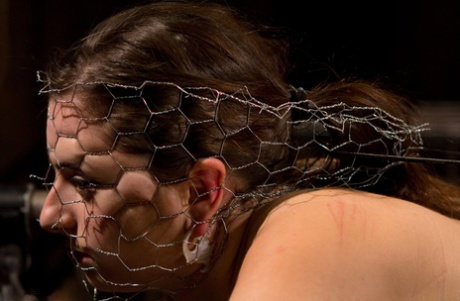 Brunette Missy Minks gets fucked by a dildo machine while in metal bondage