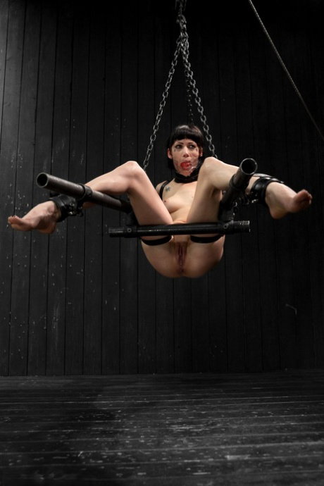 Device Bondage performed by Asphyxia Noir Sex Images
