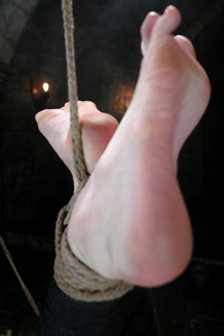 Whipped Ass featuring Claire Adams, Sandra Romain XXX Pictures
