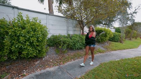 Hitchhiker with big tits Zoey Sinn has hardcore sex with a stranger in his car
