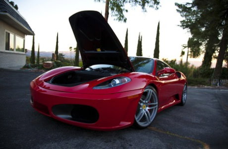 Attractive Bree Olson knows what she has to do for a nice ride in sports car