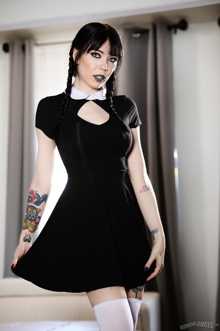 Leda Bear