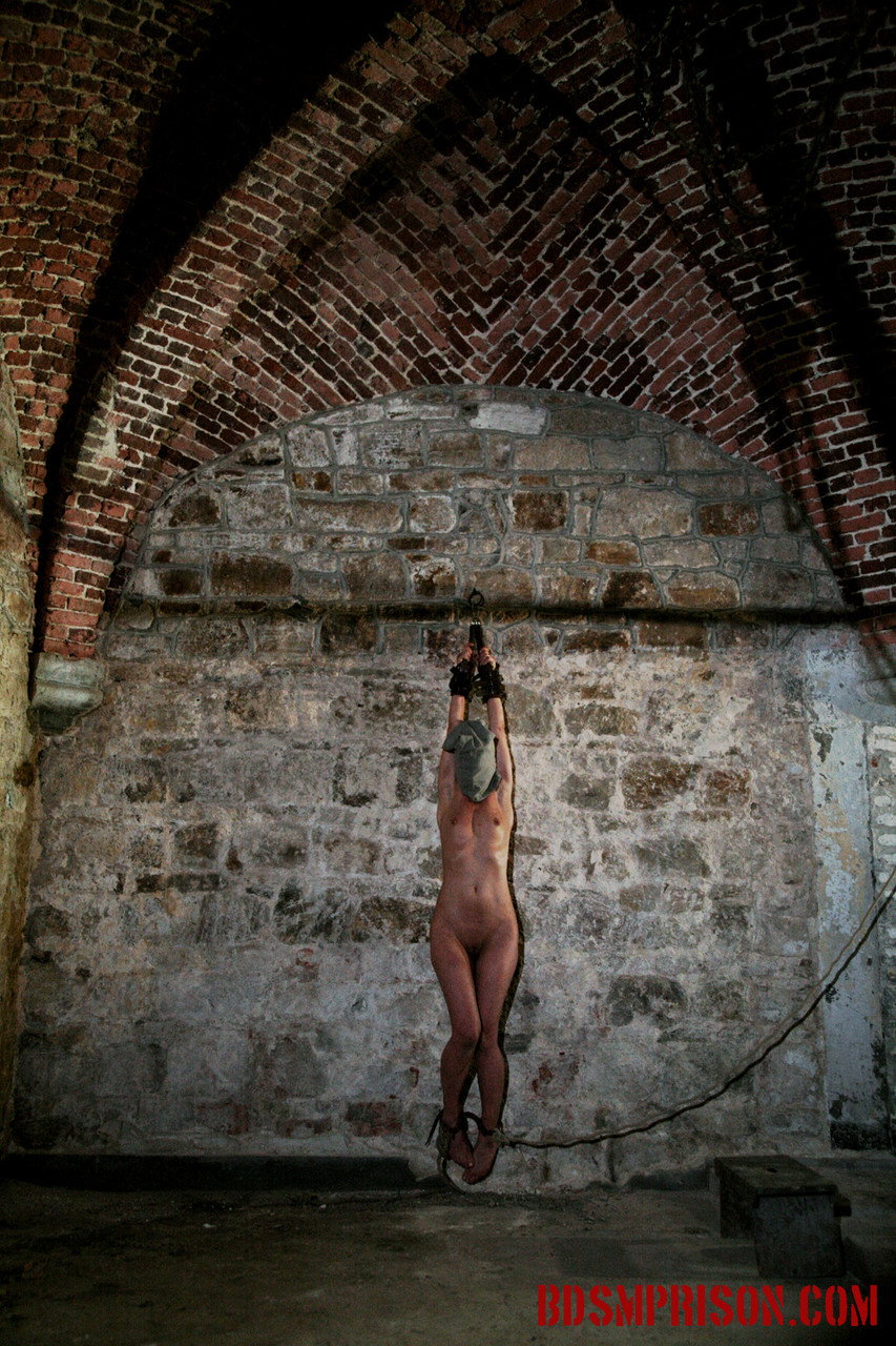 Mirela